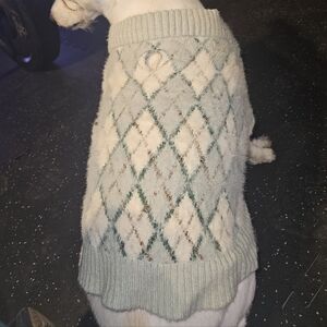Argyle Knit Dog Sweater in teal white and gold